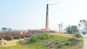 ফসলি জমির উপরিভাগের মাটি দিয়ে চলছে অবৈধ ভাটা