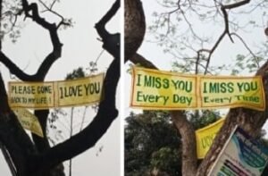  ফেস্টন প্রেমিকাকে কলেজের ফটকে ফিরে আসার আহ্বান জানিয়ে 