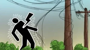 বিদ্যুতের ছেঁড়া তারে আটকে গৃহবধূর মৃত্যু সরিষাবাড়ীতে