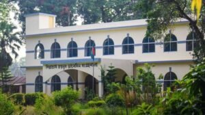 ছবির মতো পরিপাটি ব্রহ্মপুত্র পাড়ের জয়নুল সংগ্রহশালা 