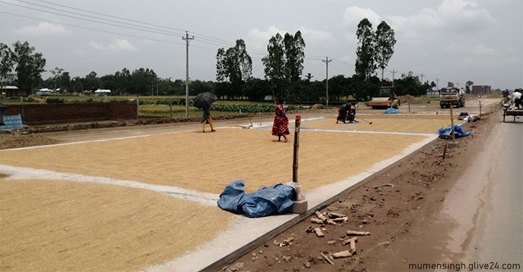 মহাসড়কে শুকানো হয় খড় বিচালি পিছলে যায় চাকা